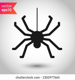 Spider vector icon. Insect vector sign. Illustration of vector spider icon. EPS 10