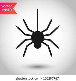 Spider vector icon. Insect vector sign. Illustration of vector spider icon. EPS 10