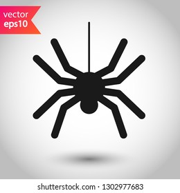 Spider vector icon. Insect vector sign. Illustration of vector spider icon. EPS 10
