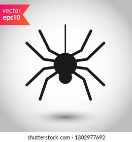 Spider vector icon. Insect vector sign. Illustration of vector spider icon. EPS 10