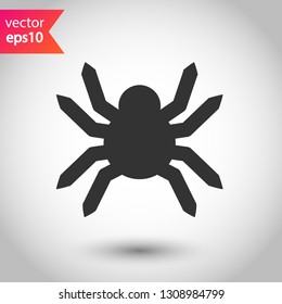 Spider vector icon. Insect vector sign. Illustration of vector spider icon. EPS 10