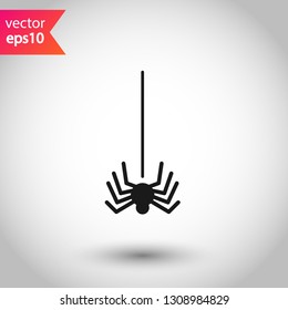 Spider vector icon. Insect vector sign. Illustration of vector spider icon. EPS 10