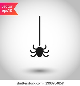 Spider vector icon. Insect vector sign. Illustration of vector spider icon. EPS 10