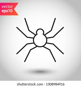 Spider vector icon. Insect vector sign. Illustration of vector spider icon. EPS 10