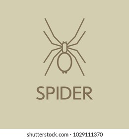 Spider vector icon. Modern, simple flat vector symbol for website or mobile app