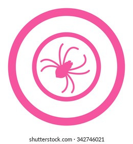 Spider vector icon. Style is flat rounded symbol, pink color, rounded angles, white background.