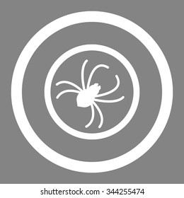 Spider vector icon. Style is flat rounded symbol, white color, rounded angles, gray background.