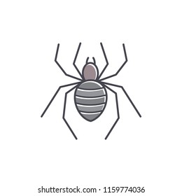 spider  vector icon in trendy flat design 