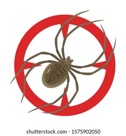 Spider vector icon.Cartoon vector icon isolated on white background spider .