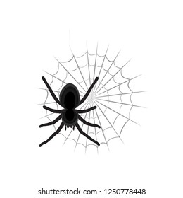 Spider vector icon.Halloween sign.