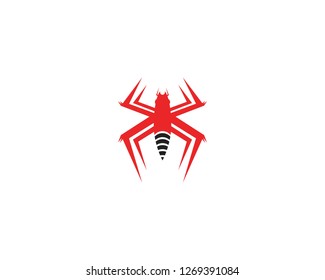 Spider vector illustration