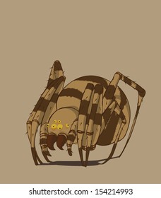 spider vector and illustration