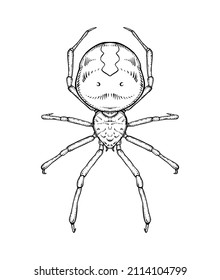 Spider. Vector illustration in cartoon style on a white background.