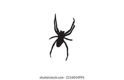 diseño de ilustración vectorial de araña en blanco y negro
