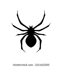 Spider vector illustration isolated on white background