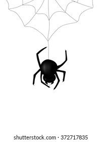 Spider. Vector illustration isolated on white background
