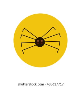 Spider vector illustration on the yellow background. Vector illustration
