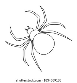 Spider. Vector illustration. Outline on an isolated white background. Doodle style. Coloring book for children. Sketch. Bloodthirsty predator. Black Widow. Halloween symbol. Dexterous Hunter. 