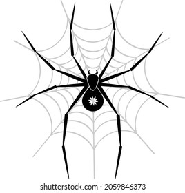 Spider vector illustration with white background logo template insect