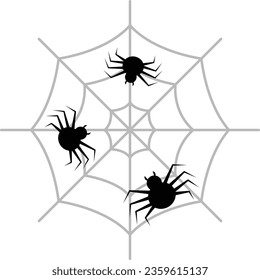 Spider vector image or clip art