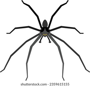 Vektorbild oder Clipart-Kunst Spiegelung