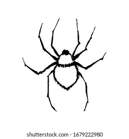 silueta de dibujo manual de dibujo vectorial de araña