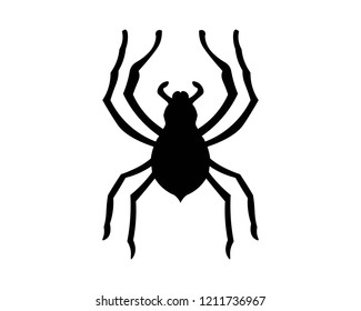 Spider vector and insect animal
