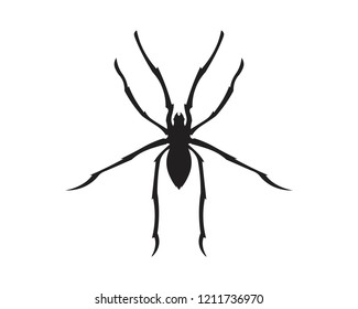 Spider vector and insect animal