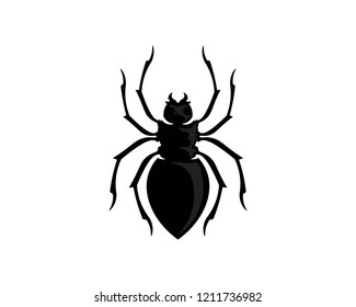 Spider vector and insect animal
