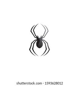 Spider vector and insect animal design logo