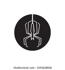 Spider vector and insect animal design logo