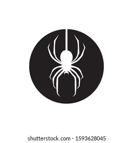 Spider vector and insect animal design logo