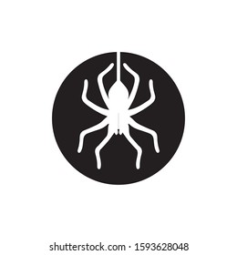 Spider vector and insect animal design logo