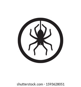 Spider vector and insect animal design logo