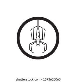 Spider vector and insect animal design logo