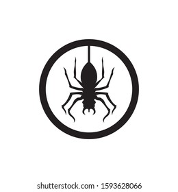 Spider vector and insect animal design logo