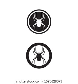 Spider vector and insect animal design logo