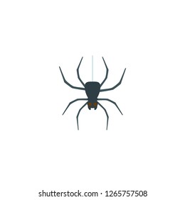 Spider vector isolated flat icon