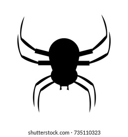 Spider vector isolated on white background
