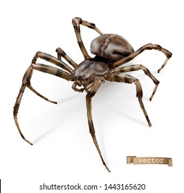 Spider vectorized image. 3d realistic vector icon