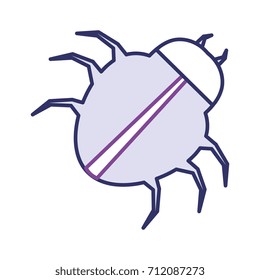 spider virus infection icon