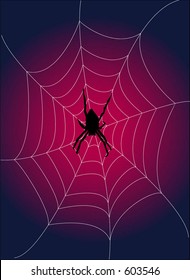 Spider waiting in her web over graduated background (vector)