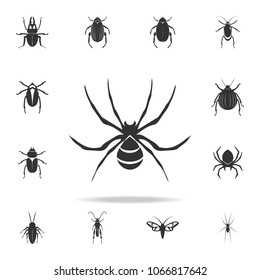 spider wasp. Detailed set of insects items icons. Premium quality graphic design. One of the collection icons for websites, web design, mobile app on white background