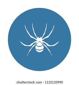 spider wasp icon. Element of insect icons for mobile concept and web apps. Badge style spider wasp icon can be used for web and mobile apps