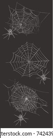 spider weaves a spider web. cobweb vector illustration. Set Collection