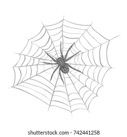  spider weaves a spider web. cobweb vector illustration