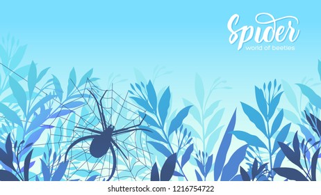A spider weaves a web in the grass. Life of insects in the wild illustration. Beauty acro world 