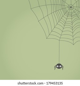 Spider and web