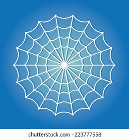 spider web
