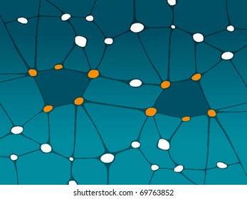 spider web